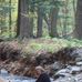 Barbara Biederman - Facebook