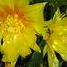Barbara Biederman - Facebook