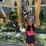 Barbara Biehl Mitchell - @biehlmitchell - Instagram