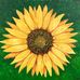 Barbara Bierc - Facebook