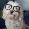 Barbara Bierniat Meloche baby - @barbara.bierniat - TikTok