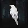 BarbaraDark_Biersack - @barbaradark_biersack - TikTok