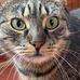 Barbara Bigda - Facebook