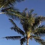 Barbara Biggs - @bbiggs0915 - Instagram