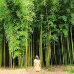 Barbara Bilbao gomez de cedron - @barbarabilbao - Instagram