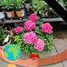 Barbara Biles - Facebook
