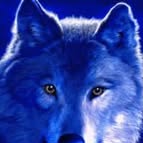 Barbara Bilger - Facebook