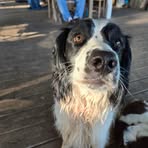 Barbara Billinger - Facebook