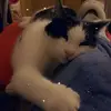Barbara Billitteri - @barbarabillitteri - TikTok