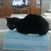Barbara Bilodeau - Facebook