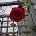 Barbara Bilz - Facebook