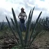 Barbara Biz - @barbarabiz - TikTok