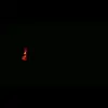 Barbara Biamonte - @barbarabiamonte59 - TikTok