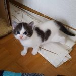 Barbara Binder - @barbara.binder57 - Instagram