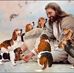 Barbara Mitchell Binion - Facebook