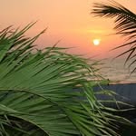 Barbara Birch - @barbara.birch.33 - Instagram
