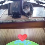 Barbara Birch - @barbara.birch.1428 - Instagram