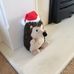 Barbara Birchall - Facebook