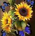Barbara Bird - Facebook