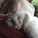 Barbara Bird - @babsbird1710 - Instagram