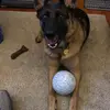 Barbara Birdwell - @barbara.birdwell3 - TikTok
