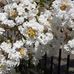 Barbara Birk - Facebook