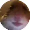 barbara birks - @barbarabirks0 - TikTok