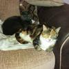 Barbara Birtwistle - @barbara.birtwistl - TikTok