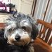 Barbara Belcaro - Facebook