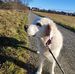 Barbara Bischof - Facebook