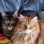 Barbara Bischof - @bischof8644 - Instagram