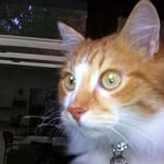 Barbara Bischof - @barbara.bischof.1238 - Instagram