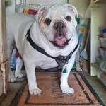 Barbara Bischof - @barbarabischof - Instagram