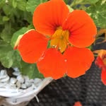 Barbara Bischof - @bischof_barbara - Instagram