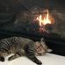 Barbara Bischoff - Facebook