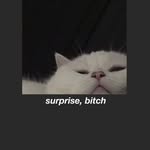 Barbara Biskup - @barbara.biskup.140 - Instagram