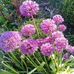 Barbara Biskup - Facebook