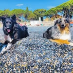 Barbara Bisson - @giotto.maya_adventures - Instagram