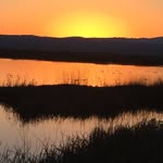 Barbara Bitner - @bkbitner - Instagram
