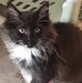 Barbara Ann Cacurak Bittinger - Facebook