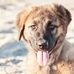 Barb Bittner - Facebook