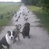 Barbara Bittner - @barbara.bittner4 - TikTok