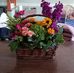 Barbara Bittner - Facebook