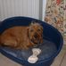 Barbara Bittner - Facebook