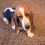 Barbara Blackledge - Facebook