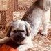 Barb Blakely - Facebook
