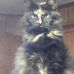 Barbara Blevins - Facebook