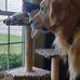 Barbara Blevins - Facebook