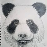 Barbara Blevins - @barbara.blevins.7276 - Instagram