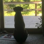 Barbara Blevins-Franks - @barb_franks - Instagram